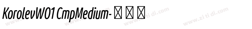 KorolevW01 CmpMedium字体转换